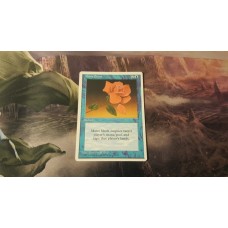 Mana Short MTG