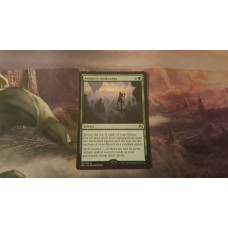 Animist's Awakening  MTG
